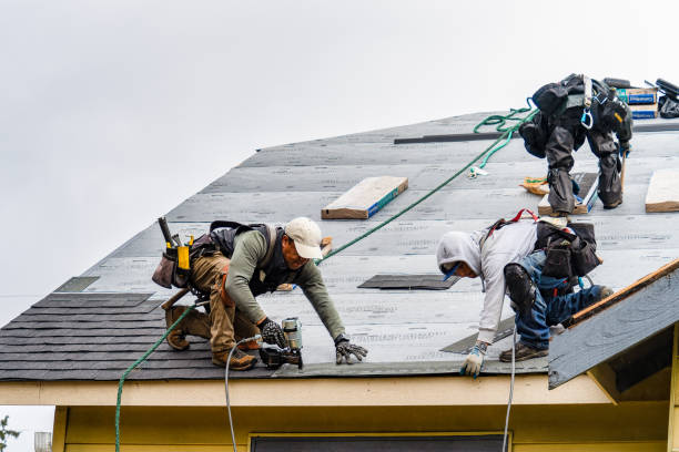 Professional Emergency Roof Repair technician working in Ashfield, MA